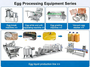 20000 Pcs/h Vegetable Fruit Grading Sorting <b>Machine</b> Automatic Weight Size Grading 304 Stainless Steel Commercial Use PLC - Product Image 3