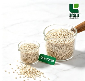 <span class=keywords><strong>Quinoa</strong></span> Bianca di Alta Qualità in Vendita, <span class=keywords><strong>Prezzo</strong></span> Competitivo, Biologica per Uso Alimentare, Vendita all'<span class=keywords><strong>Ingrosso</strong></span> - Product Image 2