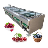 Hoge Efficiëntie Sorteermachine Blauwe Bessen / Blauwe Bessen Sorteermachine / Blauwe Bessen Graderingsmachine