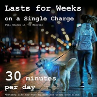 Collier de sécurité pour chien, lumière LED rechargeable, pour la marche nocturne, à clipser, haute visibilité, résistant à l'eau, USB-C