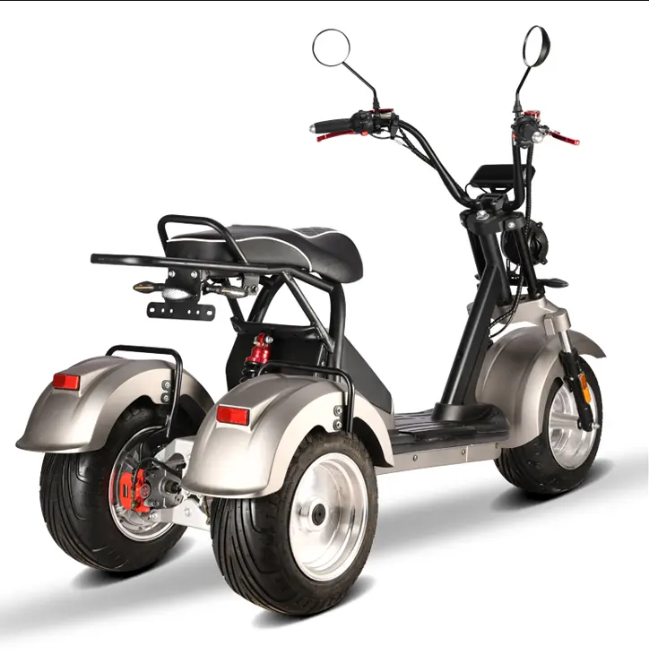 Double motor 60V 12AH electric tricycles 2 passengers off road three wheel with COC/EEC for adults citycoco