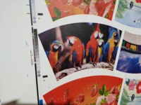 Mesin Cetak Flexo 5 Warna ZBRY Baru Otomatis Printer Kertas Letterpress Struktur In-Line Kecepatan Cetak 150m/menit Android