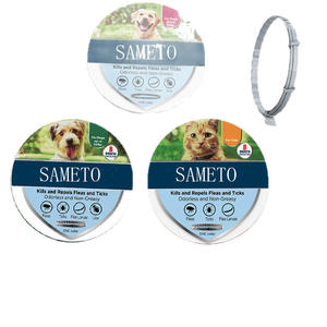 Collier et <span class=keywords><strong>laisse</strong></span> <span class=keywords><strong>pour</strong></span> animaux de compagnie personnalisés, imperméables, inodores, non gras, taille unique, réglables, avec cristaux artificiels - Product Image 6