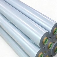 Rouleau de vinyle PVC blanc 80 microns, matériau fonctionnel multi-usage, conforme RoHS et Reach, emballage OEM, film pour la fabrication de véhicules