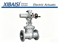 Válvulas Industriales Xibaisi con Certificación CE, Modelo Multitipo ZB45ZN-ZB90ZN, 1 Año de Garantía, Hechas en Zhejiang, Personalizables OEM/ODM/OBM