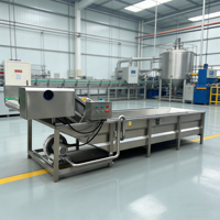 Industriële groente- en fruitwasmachine voor zwaar gebruik met droogsysteem - Professionele reiniger voor diverse soorten producten