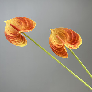 Flor <span class=keywords><strong>Artificial</strong></span> 3D Anthurium Pu Feel Flamingo Pequeña Palma Blanca Guanyin Lotus Flor Falsa Decoración del Hogar Accesorios de Boda-149 - Product Image 5