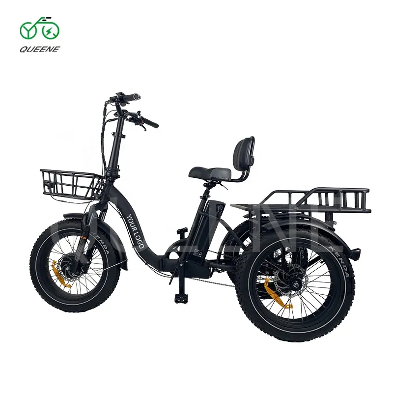 Stile Morden a lungo raggio 48v 500w 750w 20 pollici grasso pneumatico anteriore motore E bici Cargo tricicli elettrico 3 ruote Trike