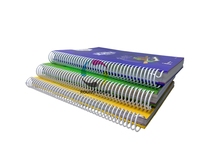 Vente en gros Set de cahiers d'exercices magiques coulants pour enfants Livre de calligraphie réutilisable en toutes langues relié en spirale pour l'école et les cadeaux