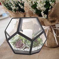 Terrarium en verre géométrique pour plantes aériennes de jardin, décoration de rebord de fenêtre, étagères, support pour plantes succulentes, cactus, fougères, pot de fleurs