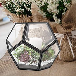Terrarium en verre géométrique pour plantes aériennes de jardin, décoration de <span class=keywords><strong>rebord</strong></span> de <span class=keywords><strong>fenêtre</strong></span>, étagères, support pour plantes succulentes, cactus, fougères, pot de fleurs - Product Image 3