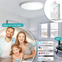 Interrupteur mural étanche IP66 relais sans fil fonctionne avec Alexa et Google Home interrupteur électrique interrupteur intelligent sans fil Tuya Wifi