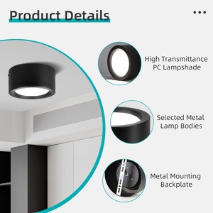 Plafonnier moderne 20W de haute qualité monté en surface en fer pour la maison, l'hôtel/Led Downlight/Downlights - Product Image 3