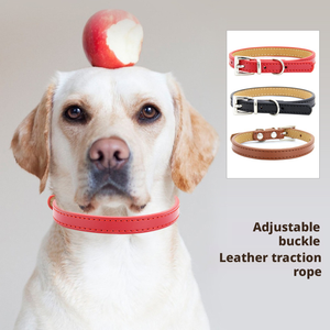 <span class=keywords><strong>Collar</strong></span> de Perro de Cuero PU Acolchado de Doble Capa, Moderno, Simple, Duradero y Suave, con Remaches y Correa con Patrón Sólido para Perros - Product Image 2
