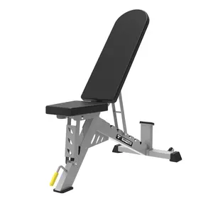 ممارسة مقعد الوزن من السهل على التحرك/صغيرة مقاعد البدلاء مع الدمبل