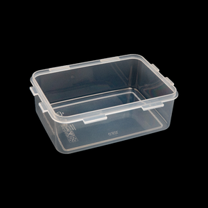 2025 mới chất lượng cao nhựa Cổ Điển hiện đại hình chữ nhật lưu trữ hộp & Thùng phổ biến <span class=keywords><strong>container</strong></span> thực phẩm bán Hot - Product Image 2