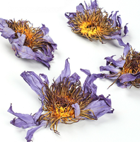 Bunga Teratai Biru Kering Alami Langsung dari Pabrik, Nymphaea Caerulea Utuh, Bahan Teh Herbal, Grosir dalam Jumlah Besar
