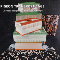 G1246 Cage de transport pour pigeons en plastique pliable et respirante avec fermeture à poussoir et porte en forme d'arbre, plateau en plastique – Vente en gros