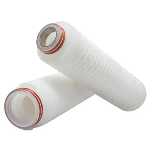 Cartuccia filtrante pieghettata da 10 pollici PP nuovo filtro di intercettazione batterica per filtrazione Sterile con membrana da 022/0 45/0.5 Micron