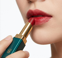 Rouge à lèvres velours bordeaux rétro, soyeux, haute pigmentation, waterproof, longue tenue, 3g, OEM ODM, étiquette privée, logo personnalisé, vente en gros
