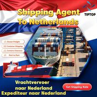 Agent maritime aux Pays-Bas, transport maritime, service d'entreposage au port de Batangas, coût du transport routier, dédouanement d'importation
