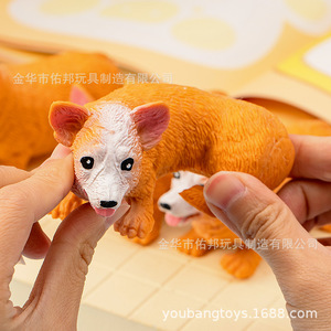 Jouet extensible pour chien Welsh Corgi, boîte de 12 pièces, jouet anti-stress en TPR pour enfants de 14 ans et plus - Product Image 4