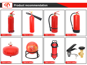 กระบอกเหล็กชาร์จได้บราซิลชิลีถังดับเพลิง2กก. - Product Image 5