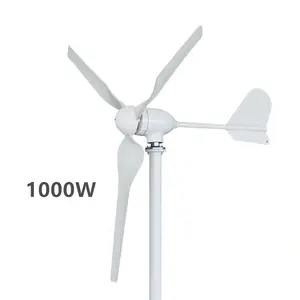 Turbina aerogeneradora Horizontal de 1000w, 12V, 24V, 48V, energía libre para el hogar
