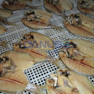 Máquina Comercial Automática para Secar Bacalao y Salmón, Equipo Deshidratador de Pescado, Horno de Secado de Bacalao y Salmón - Product Image 1