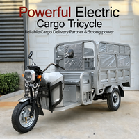 Tricycle électrique de fret à trois roues en acier, moteur central sans balais 60V 1000W à 3 vitesses, haute qualité, populaire, directement de l'usine