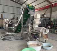 Fruit Gember Commerciële Sapcentrifuge Ananas Wortelen Gember Kurkuma Juicer