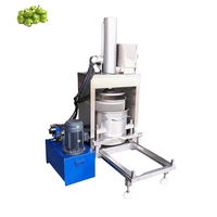 Fruitpers Schroefpers Fruit- en Groenteverwerkingsmachines Hydraulische Koude Pers Citroen Sinaasappel