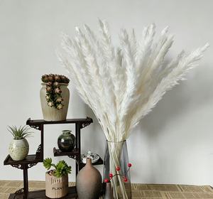 Hierba de Pampas Seca Natural Blanca y Gris para Decoración de Bodas y Navidad, Ecológica, para el Año Nuevo Chino, <span class=keywords><strong>Cortaderia</strong></span> - Product Image 1