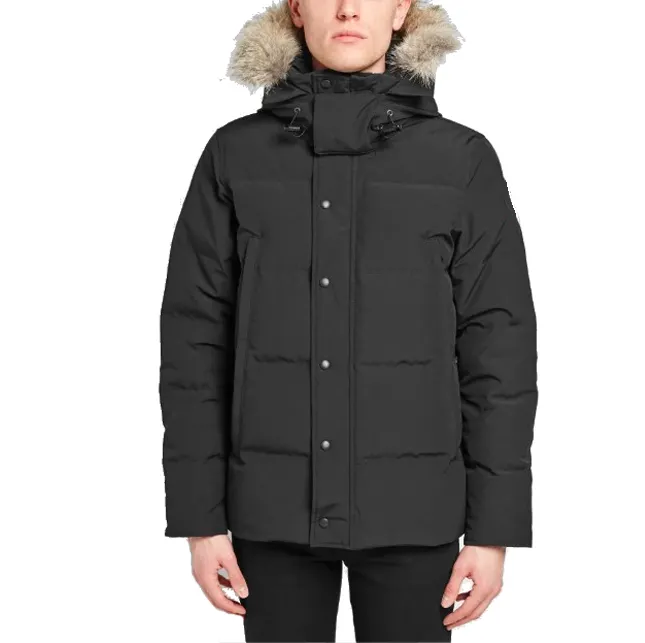 Parka en duvet de Polyester pour homme, veste décontractée avec fermeture éclair, en duvet de canard, avec Logo personnalisé,