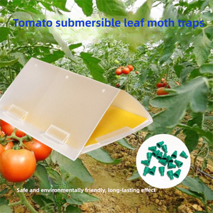 Piège à phéromones pour <span class=keywords><strong>mites</strong></span> emballé sous film aluminium avec leurre phéromone sexuelle féminine longue durée pour la mineuse des feuilles <span class=keywords><strong>de</strong></span> tomate en ferme, en stock - Product Image 5