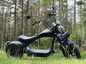 Motocicleta Eléctrica Citycoco de <span class=keywords><strong>Tres</strong></span> <span class=keywords><strong>Ruedas</strong></span> de 3000W 4000W con Sidecar sin Batería - Product Image 3