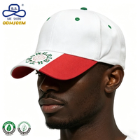 Casquettes de baseball personnalisées à visière incurvée bicolores et colorées pour hommes et femmes, idéales pour le sport – Fabrication HAT