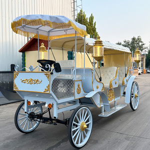 Nouvelle Carrosse Électrique Citrouille Yiyang pour Mariage et Visites Touristiques, Modèle <span class=keywords><strong>Cendrillon</strong></span>, 4-6 Personnes, Couleurs Personnalisables - Product Image 1