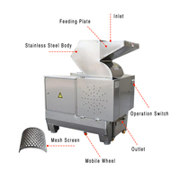 Broyeur automatique d'os d'animaux en acier inoxydable Broyeur Machine à haute efficacité Broyage d'os de poisson de volaille Moteur 220V automatique