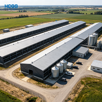 Bâtiment Agricole Préfabriqué en Acier pour Élevage, Hangar de Stockage Métallique pour Volailles avec Conception de Ventilation