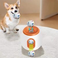 Lanceur de balles électrique automatique 2026 pour l'entraînement en extérieur, jeu interactif pour chiens, machine à apporter les balles pour la cour – Nouvelle collection
