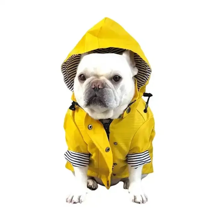 Estilo británico Ins hotsale mascota raya amarilla perro grande impermeable con capucha