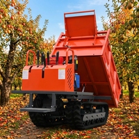 Mini Dumper Cingolato da 1,5 Tonnellate Disponibile in Magazzino