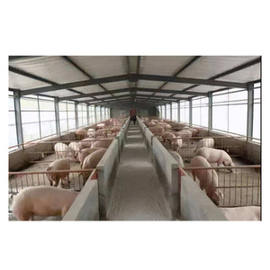 Aangepaste Paard Stabiele Geprefabriceerde Stalen Koe/Schaap/Geit Schuur Pig Boerderij - Product Image 1