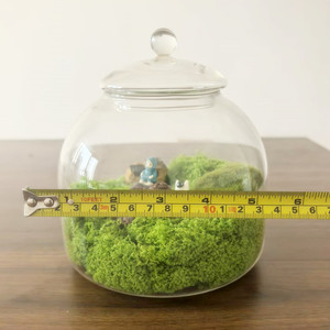 Tự làm cảnh quan thủy tinh container với nắp cho Tabletop rêu hoa hiển thị nhà vườn trung tâm hồ cạn - Product Image 5