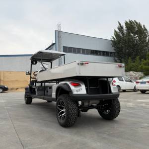 नवीनतम फ्रंट फेस फैशन डिजाइन 72v 2-सीट क्लब गोल्फ कार आरामदायक 2-व्यक्ति लिथियम बैटरी इलेक्ट्रिक मिनी कार थोक - Product Image 1