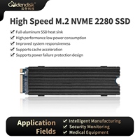 SSD Internal Baru M.2 NVMe 2280 dengan Heatsink Aluminium PLP 3435MB/s Buatan Cina
