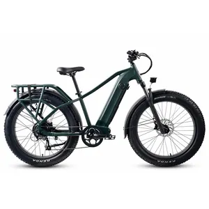 Sıcak satış tüm arazi yağ e-bisiklet abd toptan fiyat 750W süper güç elektrikli bisiklet doğrudan üretici OEM bisiklet
