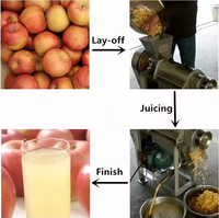 Goede kwaliteit commerciële roestvrijstalen sapcentrifuge, sapcentrifugeermachine voor groenten en fruit, sinaasappelpersmachine