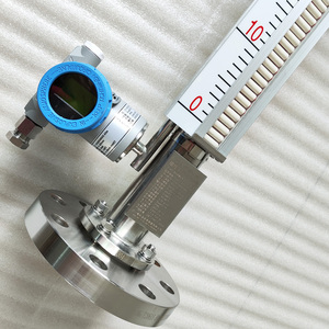 Indicateur de niveau magnétique latéral en acier inoxydable, construction IP65, précision 1 %, options personnalisables pour le niveau d'eau magnétique - Product Image 5